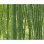 Grüne Moderne AS Creation Tapeten & Wandtapeten Bambus aus Papier 