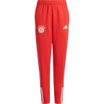 FC Bayern München Kindersporthosen Deutschland aus Polyester Größe 176 