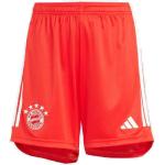 Rote adidas FC Bayern München Kindersporthosen Deutschland aus Polyester Größe 176 