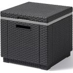 Allibert ICE-Cube Kühlbox Graphit Grau 42x42x38 cm
