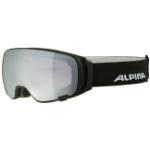 Schwarze Alpina Snowboardbrillen 