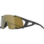 Alpina Hawkeye S Q-Lite Sportbrille (Größe One Size, schwarz)