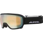 Goldene Alpina Snowboardbrillen für Herren 