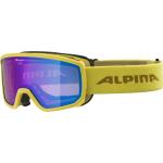 Blaue Alpina Snowboardbrillen 