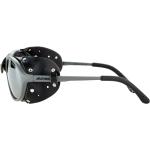 Schwarze Alpina Sportbrillen aus Leder 