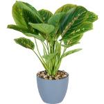 Ambia Home Kunstpflanze , Grün, Dunkelgrau , Kunststoff , 40 cm , inkl. Topf , Dekoration, Blumen & Blumentöpfe, Kunstpflanzen