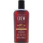 Reduzierte American Crew 3 in 1 Shampoo 250 ml mit Ingwer für  alle Haartypen für Herren 