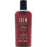 Reduzierte American Crew 3 in 1 Shampoo 250 ml mit Teebaumöl für  alle Haartypen für Herren 