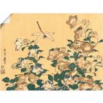 Artland Wandbild »Chinesische Glockenblume und Libelle«, Blumen, (1 St.)