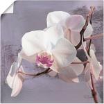 Weiße Artland Leinwandbilder Orchideen aus Holz 