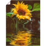 Gelbe Artland Leinwandbilder Blumen aus Vinyl 