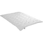 Badenia 4-Jahreszeiten Bettdecken aus Polyester 155x200 cm 