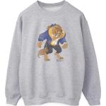 Beauty And The Beast, Damen, Pullover, Classic Sweatshirt, Grau, (S)