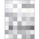 Graue Karierte Biederlack Kuscheldecken & Wohndecken aus Baumwolle 150x200 cm 