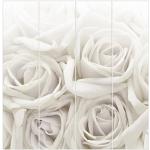Pastellrosa Print Bilder-Welten Flächenvorhänge Rosen aus Stoff 