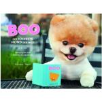 Boo - Der süßeste Hund der Welt - gebunden