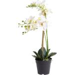 Beige Kunstpflanzen & Textilpflanzen Orchideen aus Kunststoff 