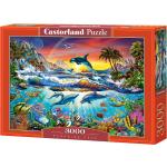 3000 Teile Castorland Puzzles 