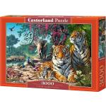 3000 Teile Castorland Puzzles Tiger 