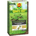 COMPO SAAT Nachsaat-Rasen, Rasensamen / Grassamen, Spezielle Nachsaat-Mischung mit wirkaktivem Keimbeschleuniger, 1 kg, 50 m²