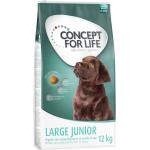 Concept for Life Large Junior Hund Trockenfutter 12kg