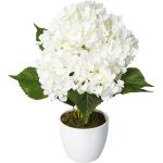 Weiße Hortensien aus Keramik 1 Teil 