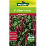 Dehner Blumen-Saatgut, Fuchsschwanz, 5er Pack (5 x 1.2 g)
