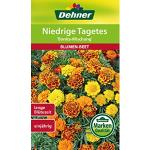 Dehner Blumen-Saatgut, Niedrige Tagetes, Bonita Mischung , 5er Pack (5 x 1.3 g)