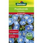 Dehner Blumen-Saatgut, Prunkwinde Himmelblau , 5er Pack (5 x 2.5 g)