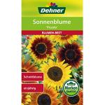 Dehner Blumen-Saatgut, Sonnenblume Piccolo , 5er Pack (5 x 3 g), 14.5 x 8.5 x 0.2 cm