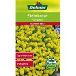 Dehner Blumen-Saatgut, Steinkraut, Kompakta , 5er pack (5 x 3 g)