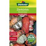 Dehner Blumen-Saatgut, Zierkürbis Bischofsmütze , 5er Pack (5 x 6 g)