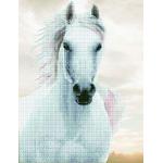 Pferde & Pferdestall Diamond Paintings Tiere aus Kunststoff für 7 bis 9 Jahre 