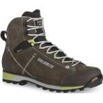 Dolomite 54 Hike EVO GTX - Trekkingschuhe - Herren Mud Green / Green 43.1/3