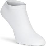 ECCO Soft Touch No-Show Sock White 39-41 white Unisex