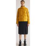 Gelbe Ecoalf Leichte Steppjacken für Damen Größe XL 