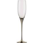 Silberne Eisch Champagnergläser 180 ml bruchsicher 2 Teile 