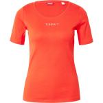 Orange Esprit T-Shirts Orangen mit Glitzer aus Jersey für Damen Größe XS 