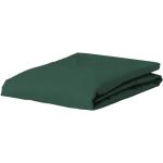 Grüne ESSENZA HOME Spannbettlaken & Spannbetttücher aus Baumwolle 180x200 cm 