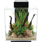 Reduzierte Schwarze Fluval Aquarium Komplettset aus Glas 