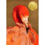 Rote Fototapeten & Bildtapeten Flamingo 