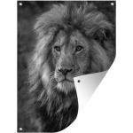 MuchoWow® 90x120 cm Outdoor-Poster Gartendeko Sichtschutz Garten Poster für den Garten  Porträt des Königs der Löwen - schwarz und weiß