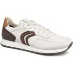 Geox Respira VINCIT C Herren Schuhe Sneaker Halbschuhe White / Dk Coffee, Größe:EUR 46, Farbe:Weißtöne
