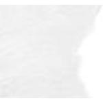 Weiße Rustikale Fellteppiche aus Kunstfaser maschinenwaschbar 