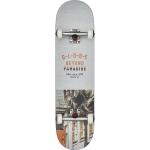 Globe Skateboards & Streetboards aus Holz 