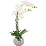 Weiße Guido Maria Kretschmer Home & living Dekoration Orchideen aus Keramik 