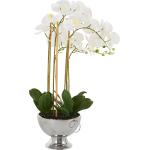 Weiße Guido Maria Kretschmer Home & living Dekoration Orchideen aus Keramik 