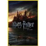 Harry Potter Poster Plakat | Bild und Kunststoff-Rahmen - Und Die Heiligtümer des Todes (91 x 61cm)