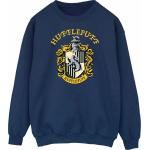 Harry Potter, Herren, Pullover, Sweatshirt, Blau, (XL)