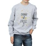 Harry Potter, Jungen, Pullover, Dobby Is Free Sweatshirt Jungen, Grau, (140, 146)
